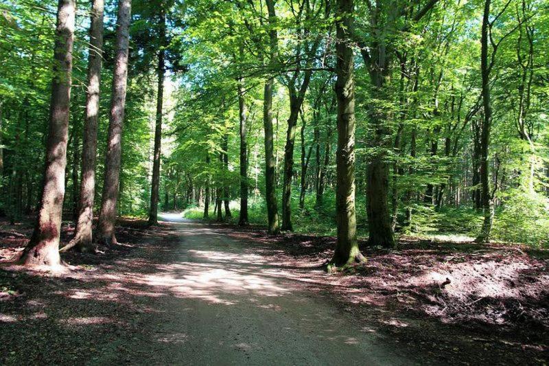 Chalet 'T Veluws Stulpje "Geniet, Ontspan En Droom Even Lekker Weg!" Putten Exterior foto